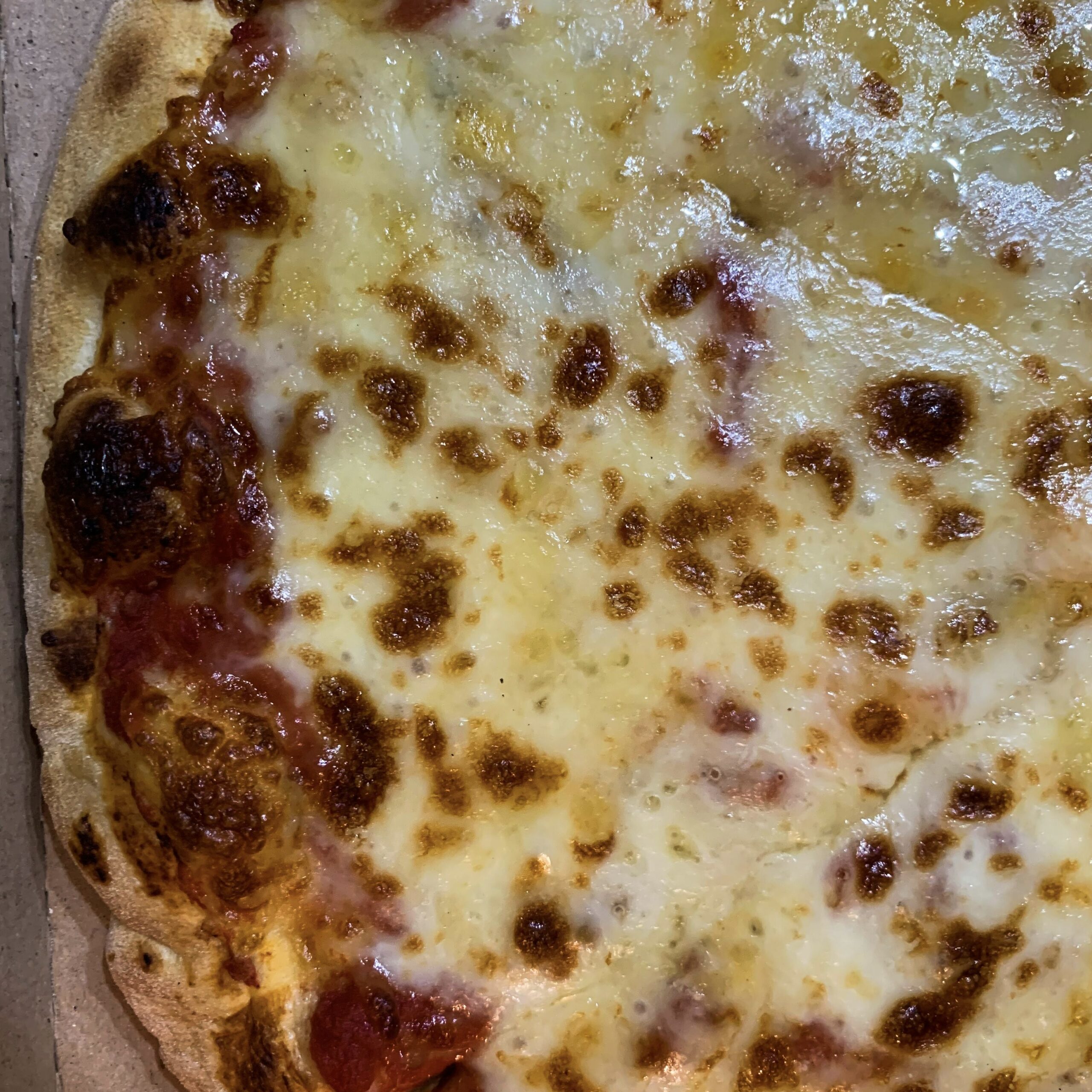 Receita: Pizza de mussarela (Low carb)