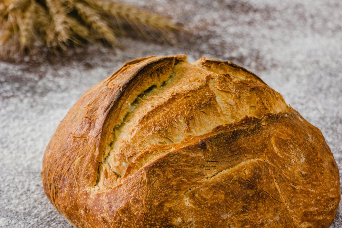 Carboidrato