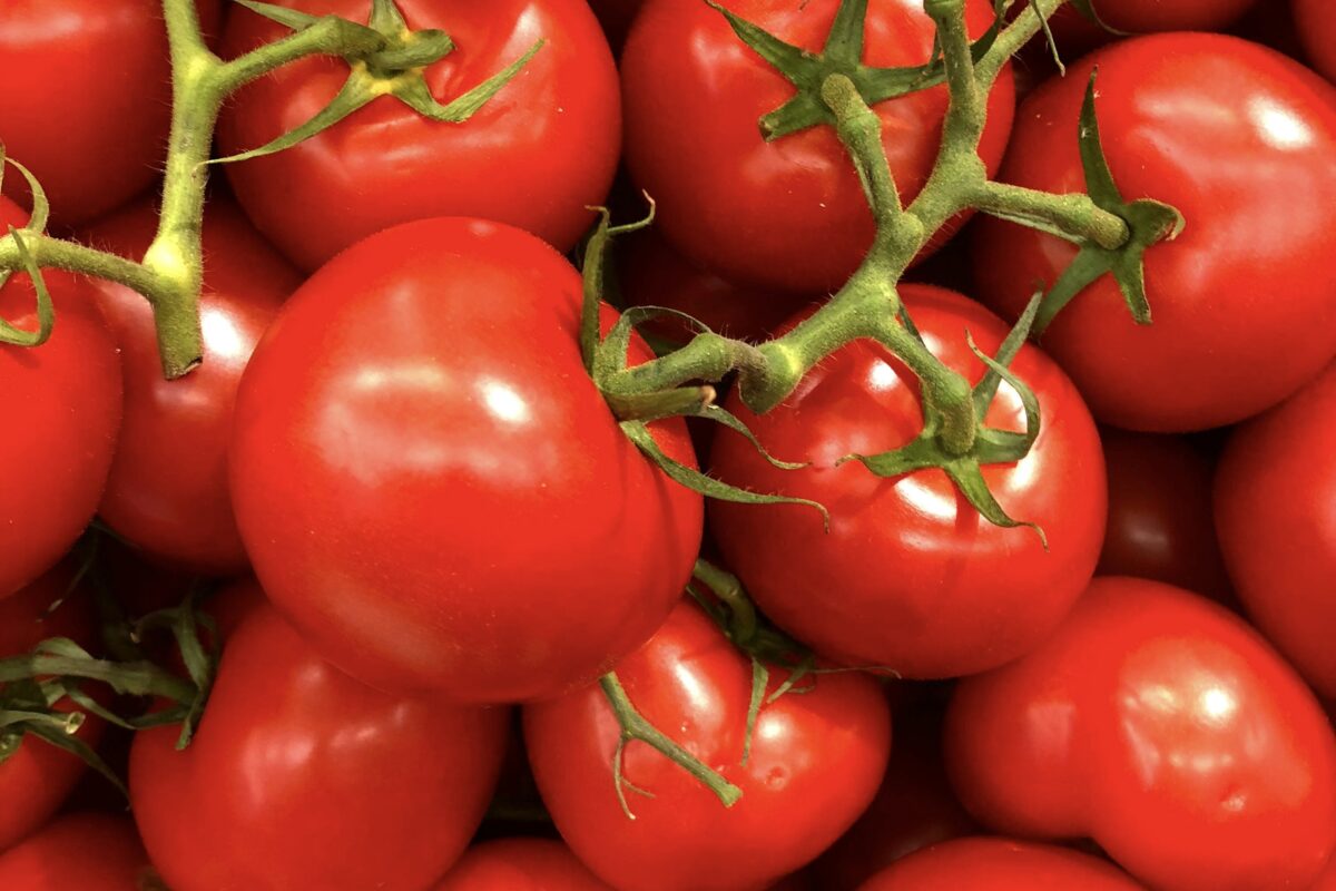 Tomate (Nutrientes e benefícios)