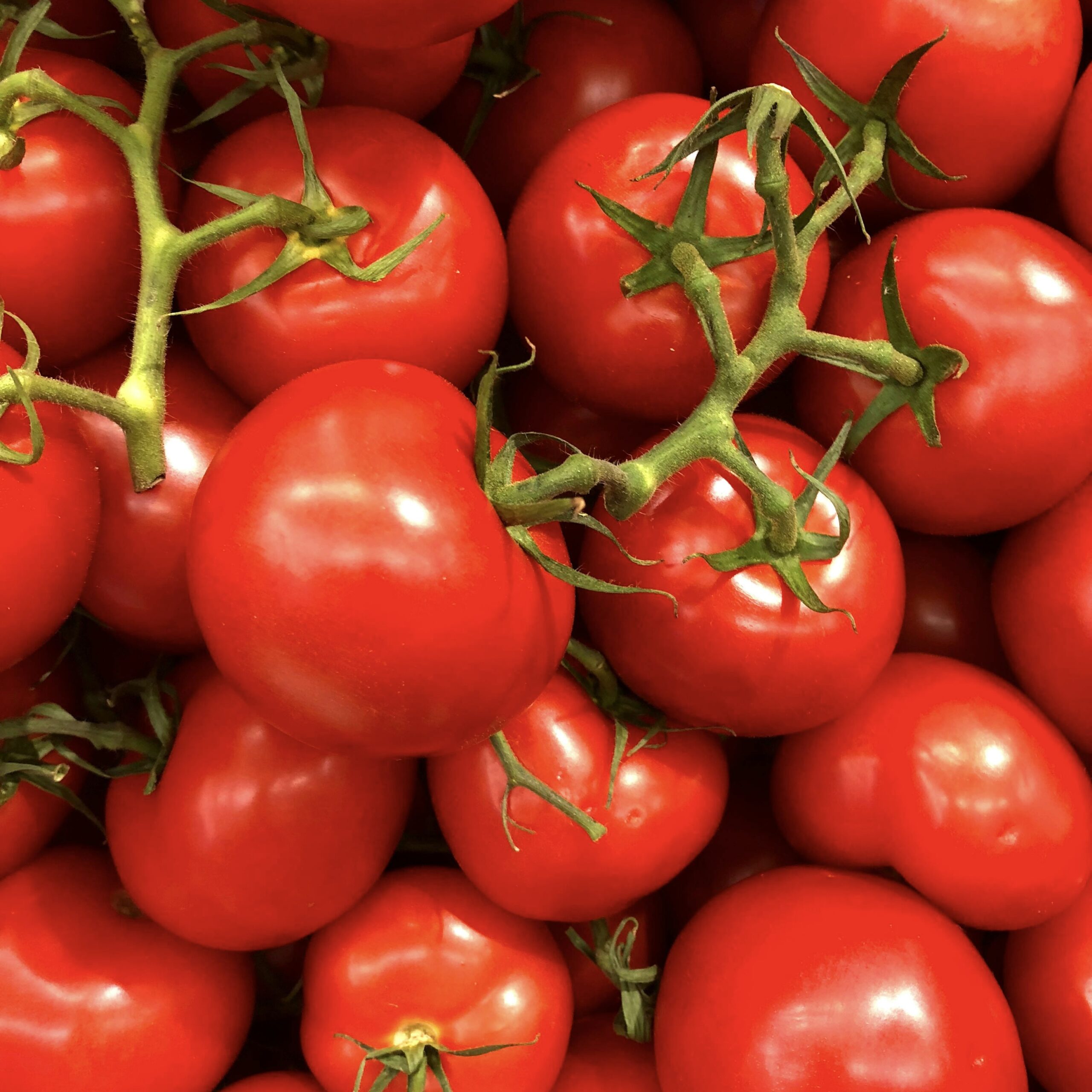 Tomate (Nutrientes e benefícios)