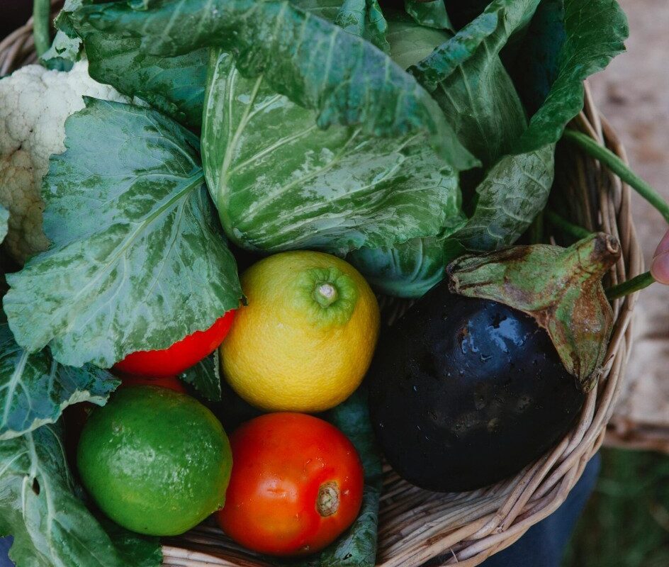 Sazonalidade no Verão: frutas, verduras e legumes mais frescos da temporada